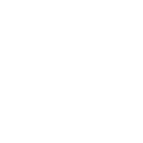 wellbiz-white