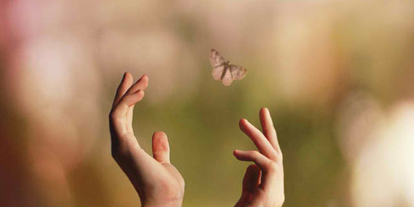 letting go butterfly